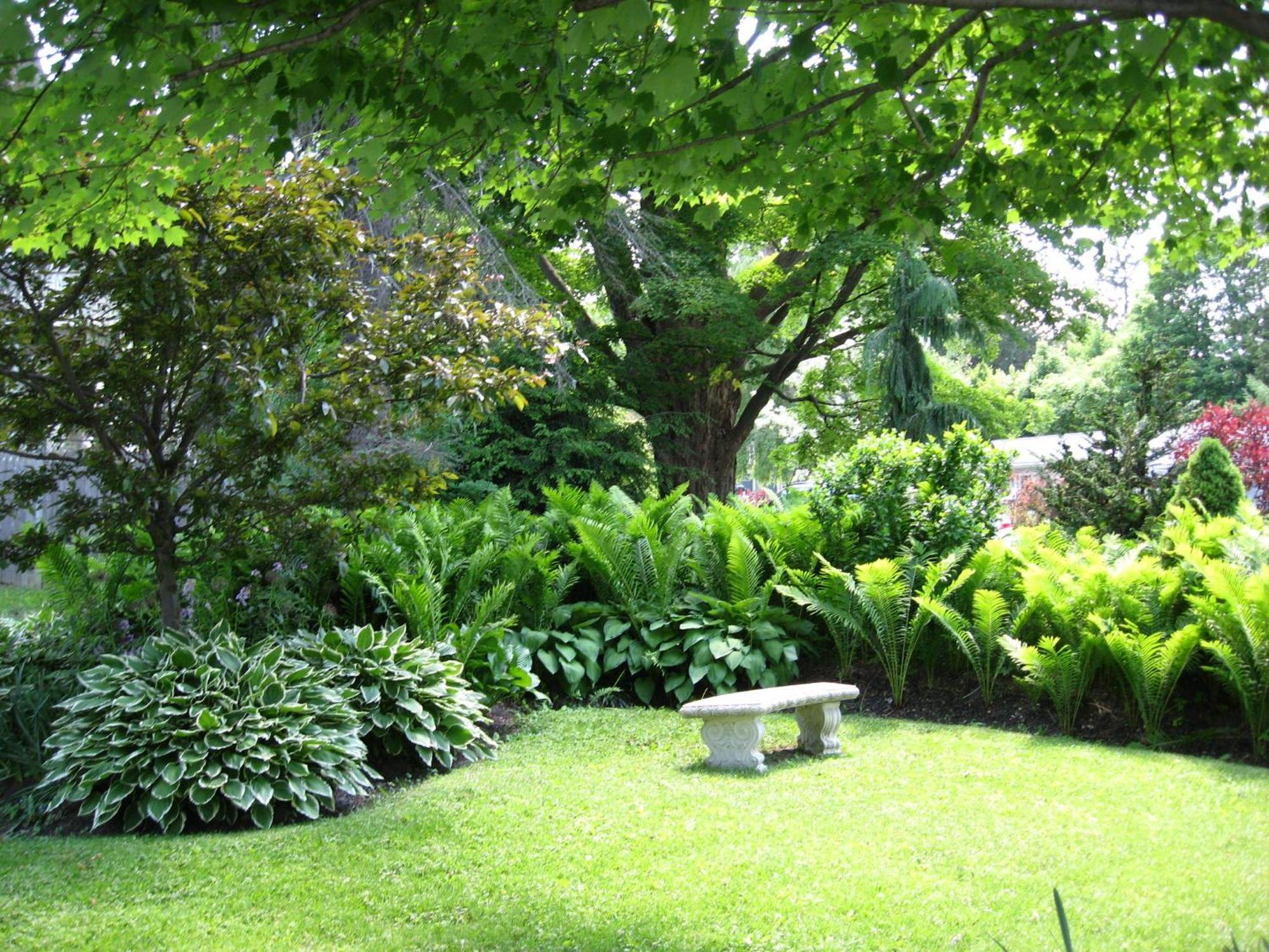 Maple Terrace 3*