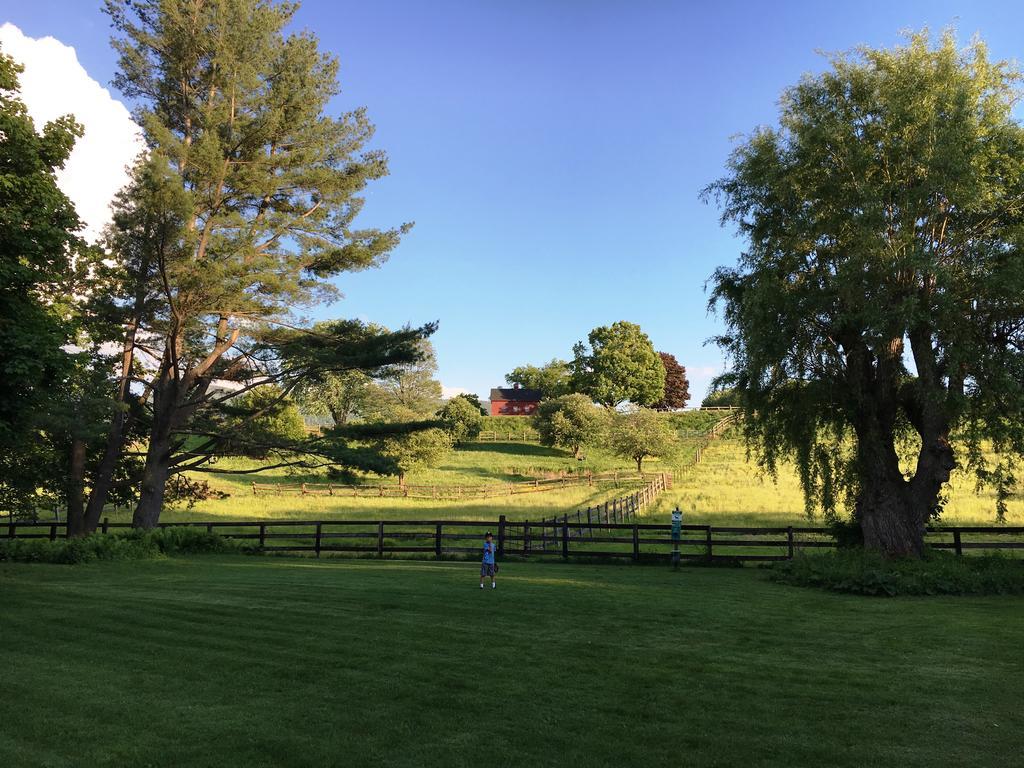 Maple Terrace