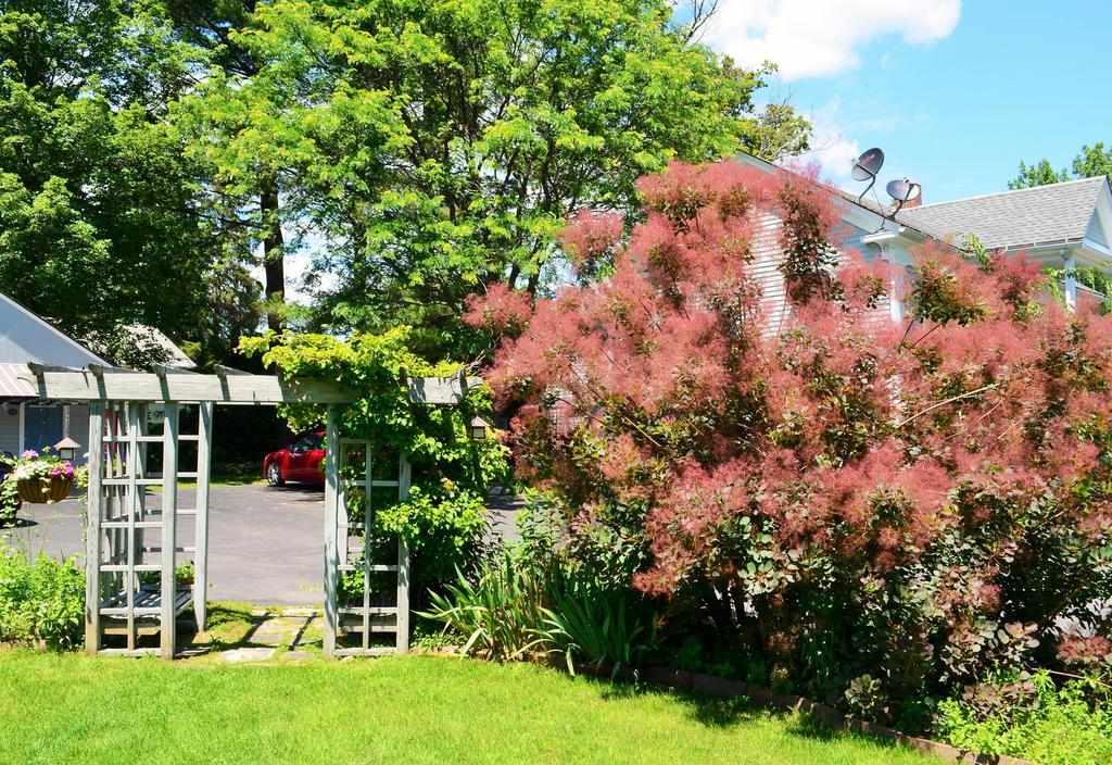 Maple Terrace Motel 3*