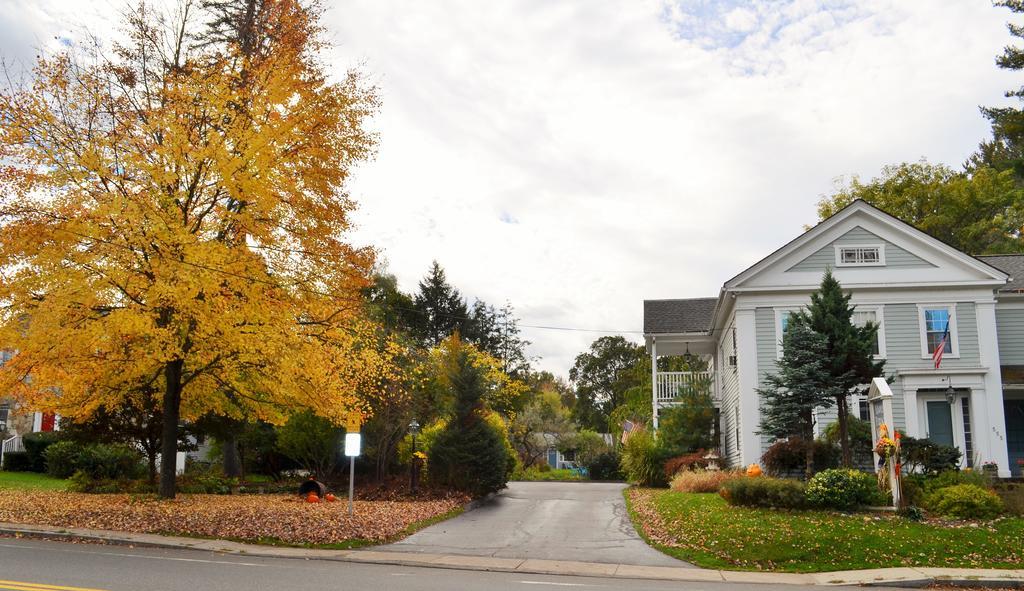 Maple Terrace