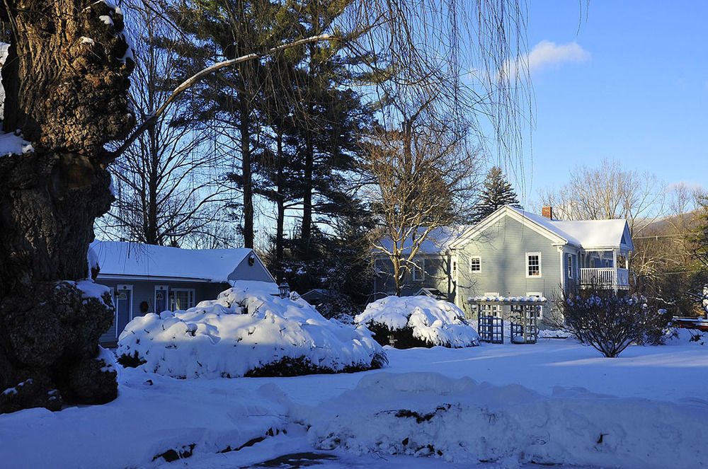 Maple Terrace 3*