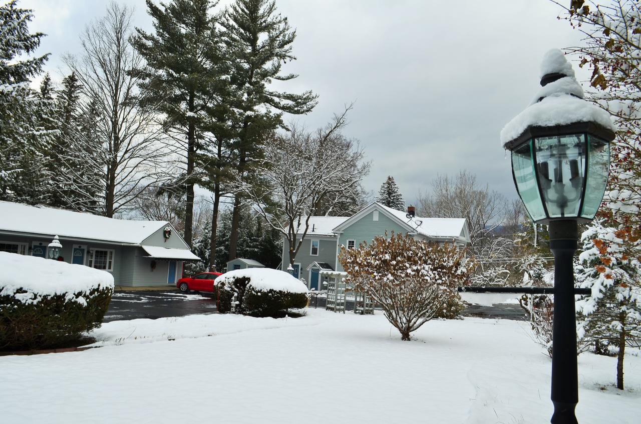 Maple Terrace